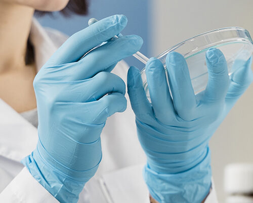 banner_desarrollo_tecnico banner_desarrollo_tecnico